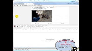 python实战项目爬取微博详细过程授人以鱼不如授人以渔