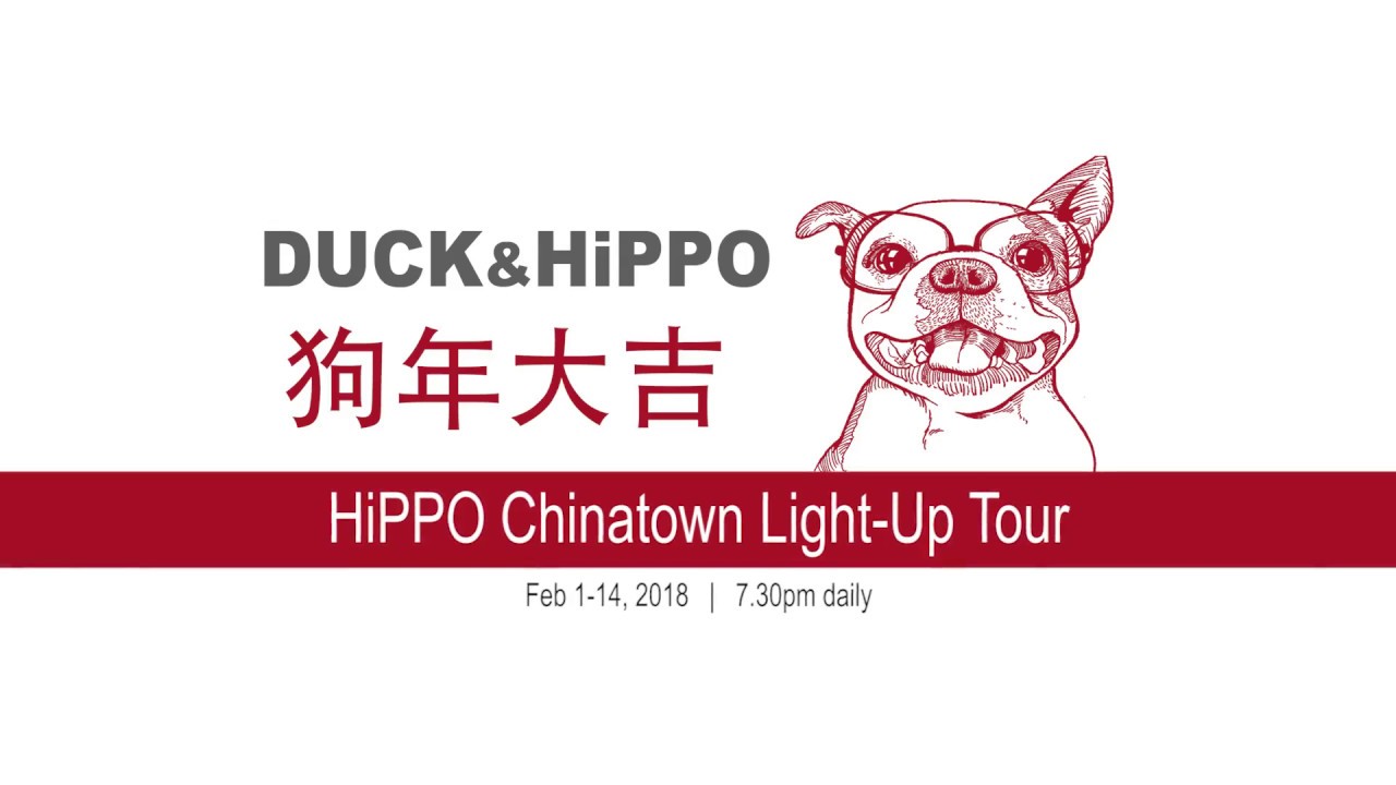 Chinese New Year Light up Tour 2018