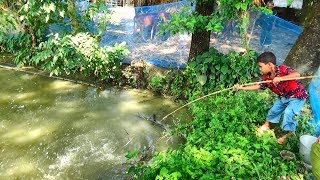 Download Best Fishing Video | Kids Fishing By Daily Village Life Part-11 Video MP3 Best Fishing Video | Kids Fishing By Daily Village Life Part-11