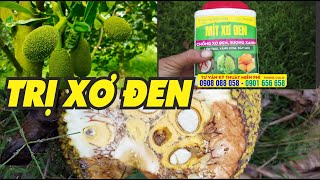 Vì sao mít bị xơ đen - CÁCH TRỊ XƠ ĐEN