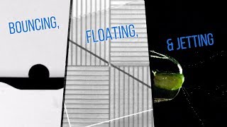Bouncing, Floating, and Jetting Wealth
