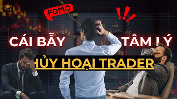 Bí Mật Trader: Giải Mã Cái Bẫy Tâm Lý Hủy Hoại Hàng Nghìn Trader
