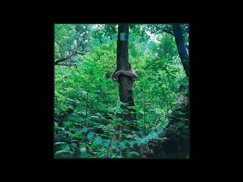 Tomberlin - Wasted