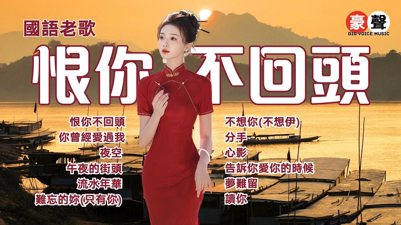 【國語老歌】恨你不回頭丨你曾經愛過我丨夜空丨午夜的街頭丨流水年華丨難忘的妳丨不想你丨分手丨心影丨告訴你愛你的時候丨夢難留丨讀你 Mandarin Oldies (歌詞版)