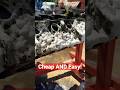 $1 Oven Cleaner vs Greasy Engine Block #enginebuild #autorepair #mechanic #tooltips #carguy