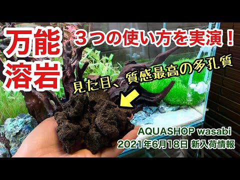 水草レイアウト水槽に使うなら万能ミニ溶岩石 Aquashop Wasabi2021年6月18日新入荷情報 adaネイチャーアクアリウム立ち上げ 水草 水槽の作り方 構図 流木 石 化粧砂 ソイル敷き分け Youtube 水草レイアウト水槽に使うなら万能ミニ溶岩石 Aquashop Wasabi2021年6月18日新入荷情報 adaネイチャーアクアリウム立ち上げ 水草 水槽の作り方 構図 流木 石 化粧砂 ソイル敷き分け Youtube