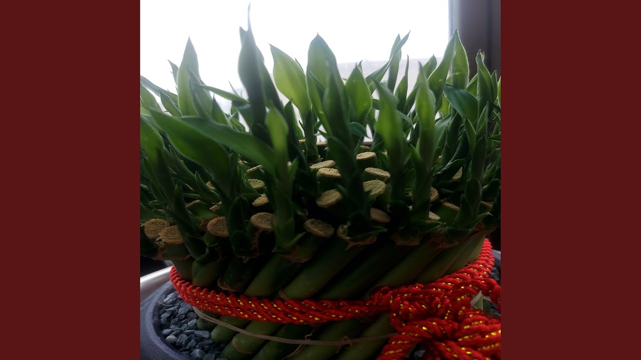 Eid Al-Adha Celebration