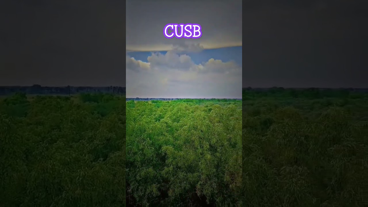 Central University of South bihar 