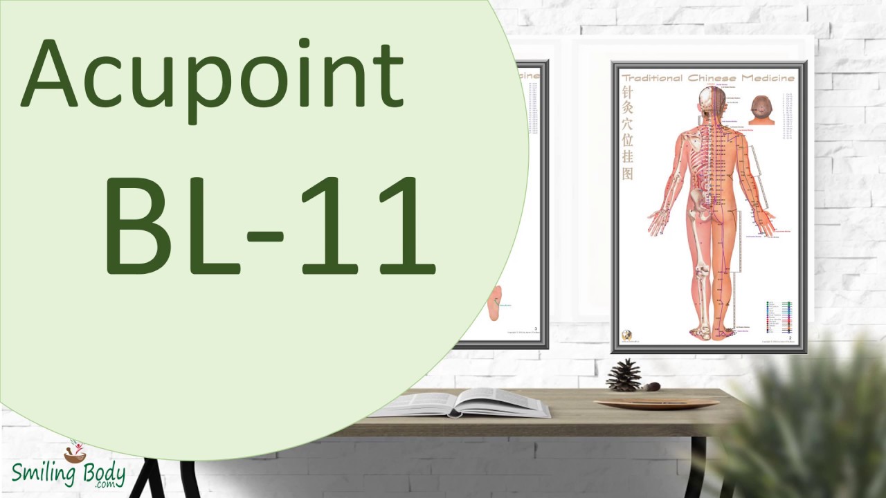 Acupoint BL 11