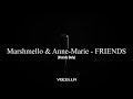 Marshmello Anne Marie FRIENDS Acapella Vocals Only mp3