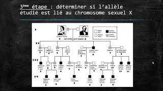 Exploiter un arbre généalogique en génétique