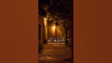 سورة البلد تلاوة خاشعة ((لا أُقْسِمُ بِهَٰذَا الْبَلَدِ (1) وَأَنتَ حِلٌّ بِهَٰذَا الْبَلَدِ ...