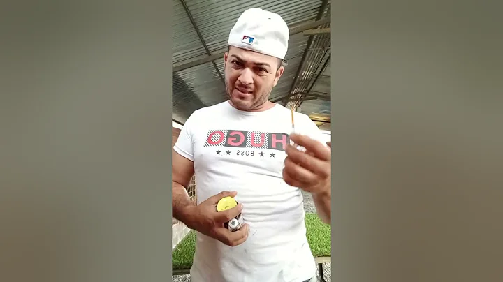cmo utilizar las vitaminas en gallos en cuido