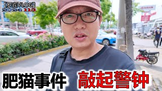 纯爱战神“肥猫”事件的发生对中国男孩和家长应敲起警钟【罗宾VLOG】