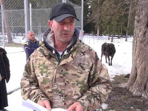 რა ბედი ელის საფეხბურთო მოედანს და სკვერს სადგერში რომელსაც \"პატრონი\" გამოუჩნდა