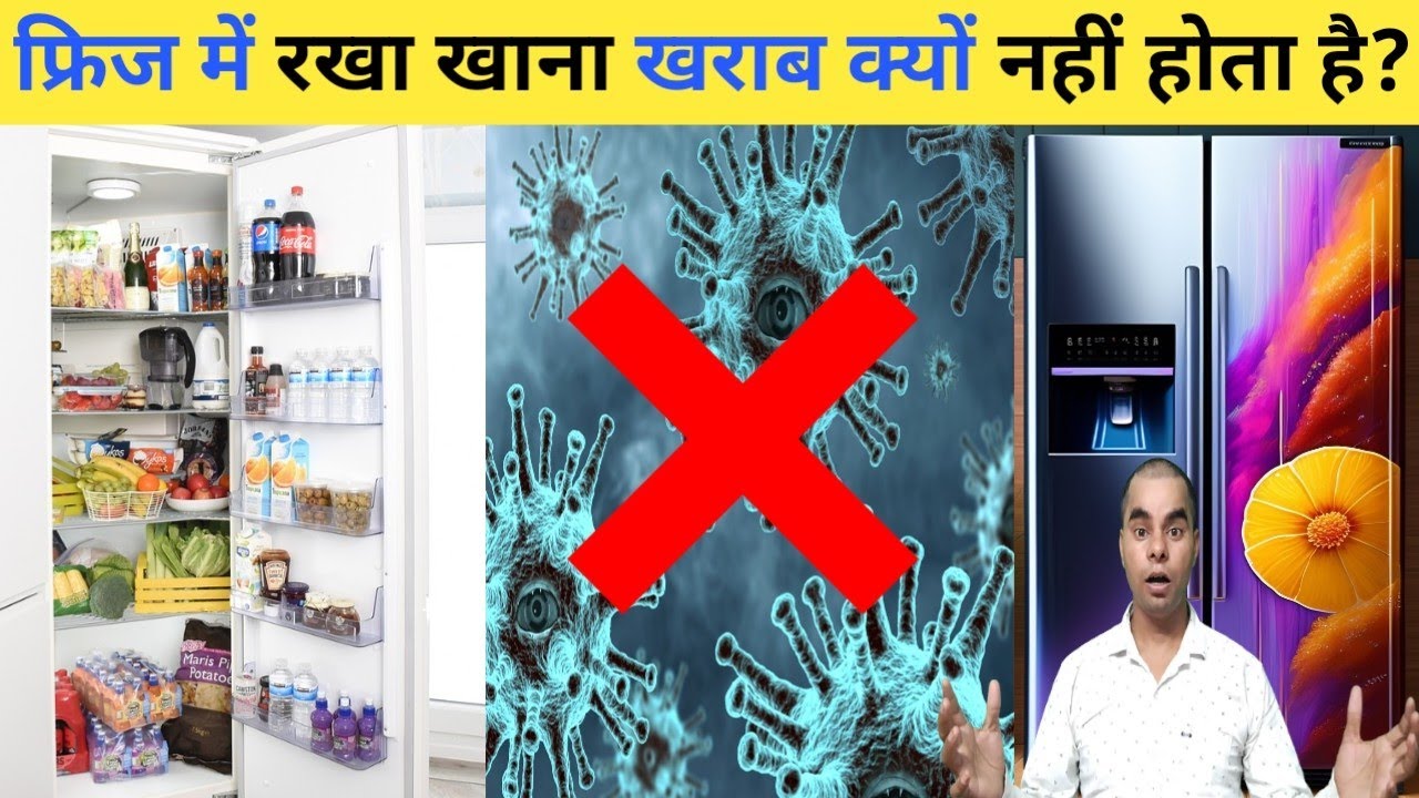 फ्रिज में रखा खाना खराब क्यों नहीं होता है Fridge Mein Rakha khana