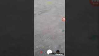 Minha Irmã Pagando Mico