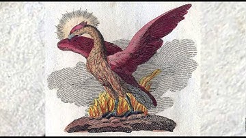 HEIDRIK - Phoenix (demo)