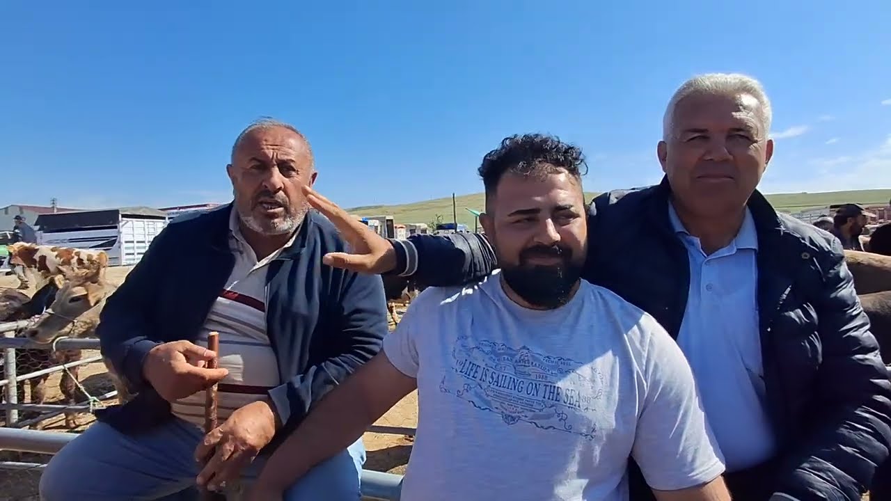 YOZGAT SORGUN HAYVAN PAZARI 29 MAYIS ÇEKİMİ 5.BÖLÜM 2 HAZİRAN 2025