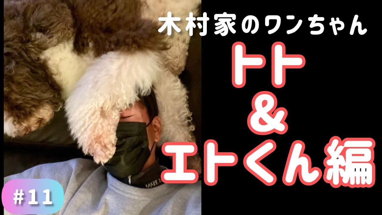 癒し】木村拓哉×甘えんぼエトくん - YouTube