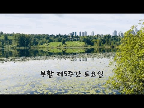 영상썸네일