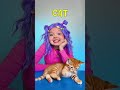 Animal Puzzle Challenge! 🧩🐶 Can You Match Them All? #shorts #kids