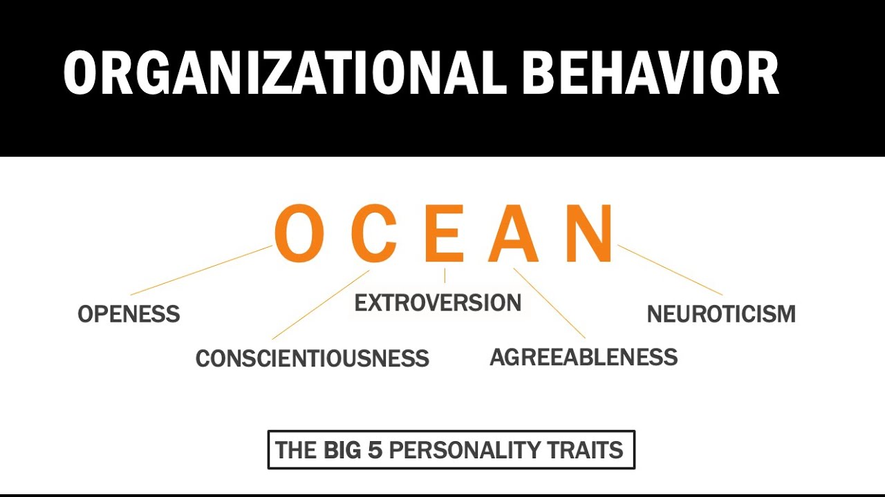 Организационное поведение: тестирование личности и индивидуальных различий при отборе сотрудников