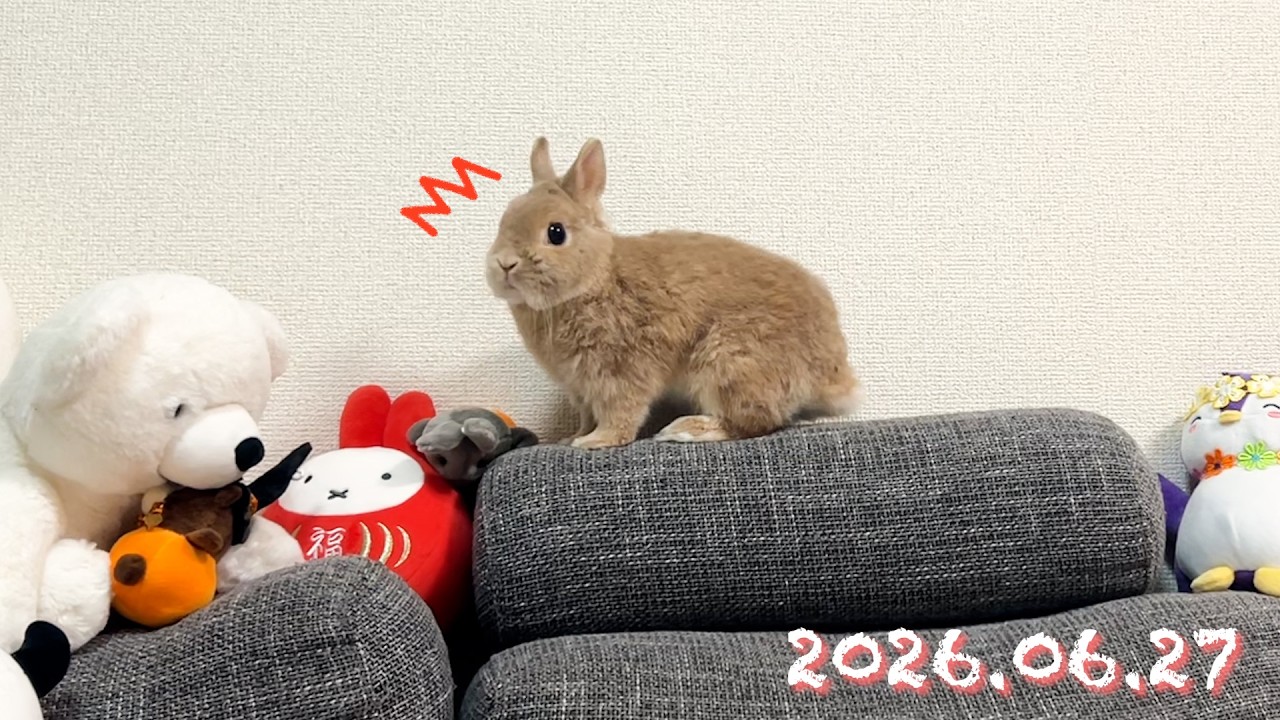 地震は大丈夫でしたか🌀？ひなちゃんはとても頼もしかったです】毎日の