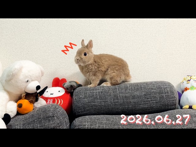地震は大丈夫でしたか🌀？ひなちゃんはとても頼もしかったです】毎日の