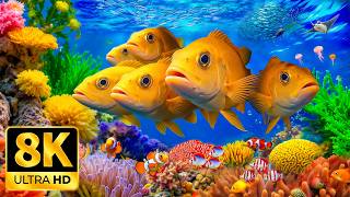 8K Aquarium Relaxation – Beautiful Coral Fish 🐠 Tranquil Underwater Life & Sleep Ambience#3 screenshot 1