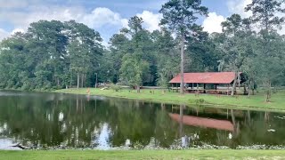 Road Trip to The Woodlands & Stagecoach, Texas