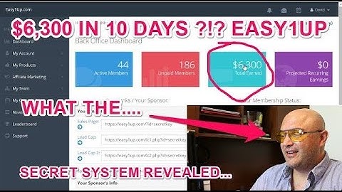 How I generated $6,300 my first 10 days with Easy1up (easy 1 up)