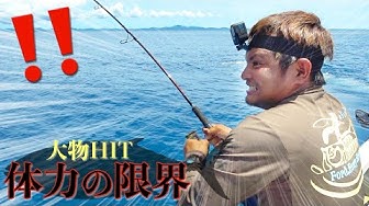 大物釣り Youtube