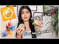 Why Retinol is Important &amp; When to Start Using Retinol ? | How I Use Bio Retinol | Lotus Botanicals