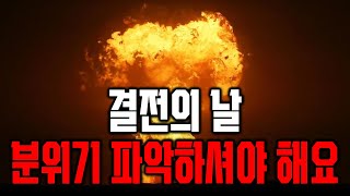 엔비디아 실적 전에 빨리요.테슬라도 아셔야 할 게 있습니다. 트럼프 랠리 끝?