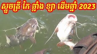 ស្ទួចត្រីកែ ឆ្លាំង ខ្យា ដើមឆ្នាំ 2023 - ស្ទូចត្រី​នៅខេត្តស្ទឹងត្រែង