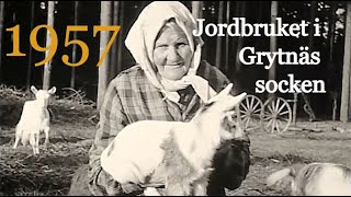 Grytnäs socken. En hembygdsfilm om jordbruket i Sverige  1957.