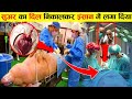 सूअर का दिल निकाल कर इंसान में लगा दिया फिर जो हुआ Surgeons successfully implant pig heart in human