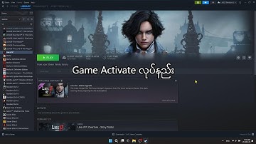 Step 4 - How to activate Steam game in offline mode