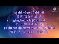 Qi shi wo hen lei  actually im tired lyrics  with pinyin by an er chen 