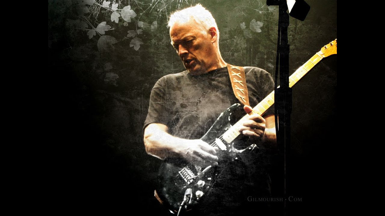 David Gilmour - The Best Guitar Solos - YouTube
