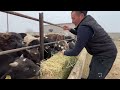 Бакайыр айылы Айыл деми 