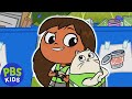 Recycling and Sorting Quiz