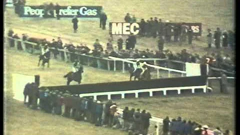 1986 Christie's Foxhunter Chase Challenge Cup