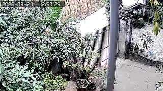 8506906879 0 0 896 896 0 2026 03 21 12 57 37 0