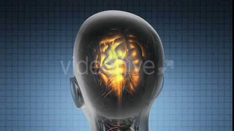 Anatomy Of Human Brain | Background Animation Video