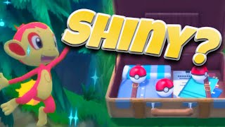 How to find a SHINY STARTER in Brilliant Diamond and Shining Pearl