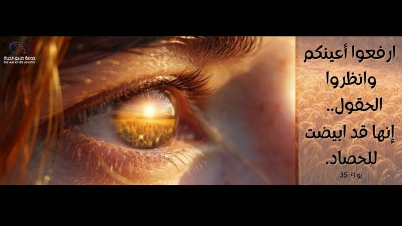 The Way of Life Ministry - خدمة طريق الحياة Live Stream