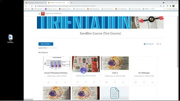 D2L Upload to My Portfolio - UCDSB