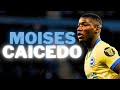 Heres why chelsea want moises caicedo